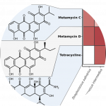 Handelsman Lab – Wisconsin Institute For Discovery