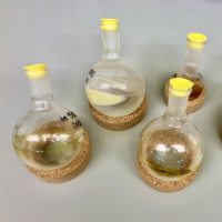 chemical extracts in round bottom flasks